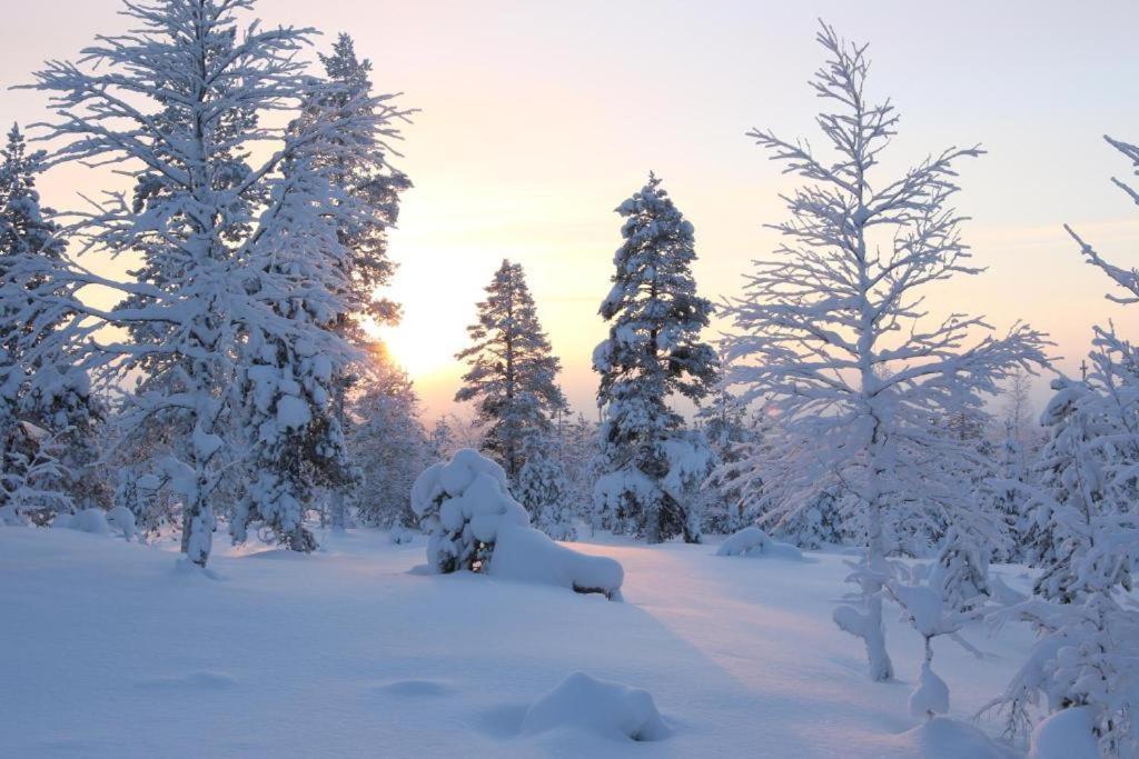 Kielo In Center Near All The Main Spots Rovaniemi Dış mekan fotoğraf
