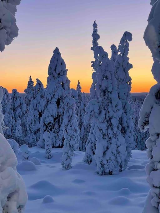 Kielo In Center Near All The Main Spots Rovaniemi Dış mekan fotoğraf